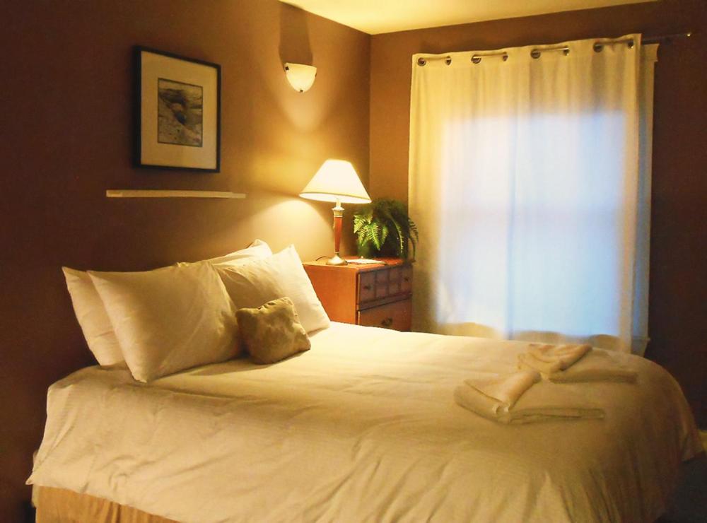 Painted Turtle Guesthouse photo 1