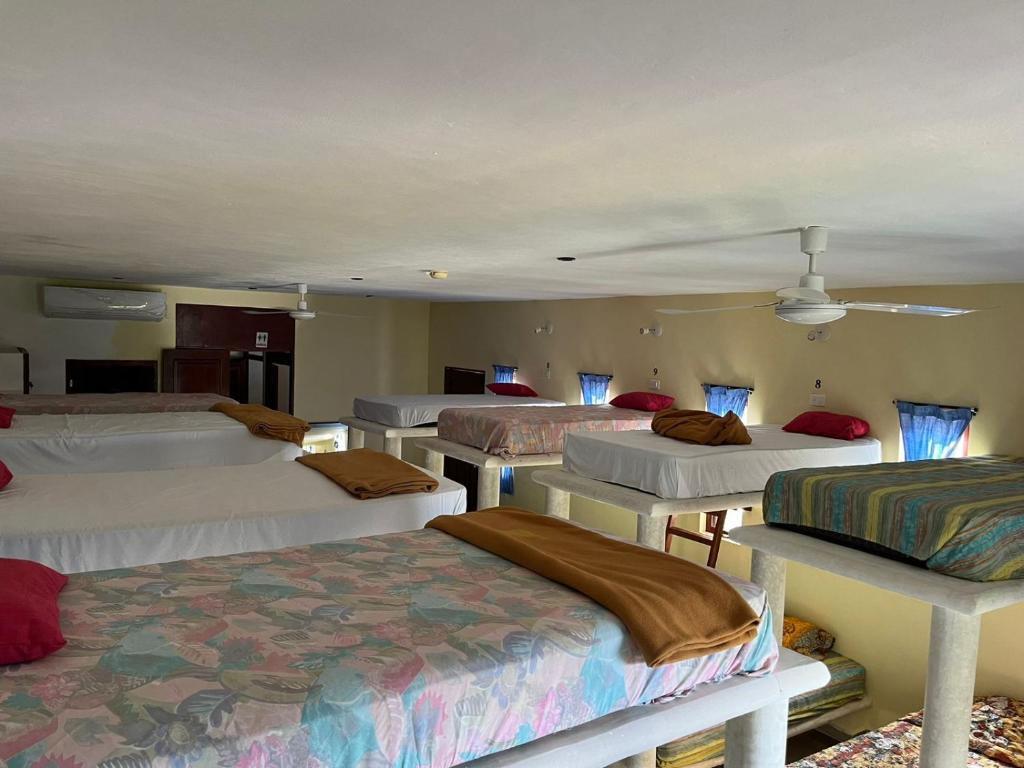 hostal nojoch-che photo 4