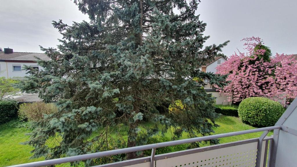 Ferienwohnung Schöne Aussicht photo 3