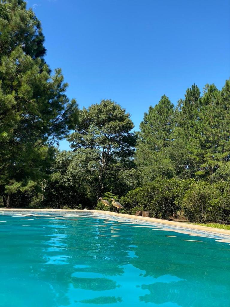 Quinta Cáceres