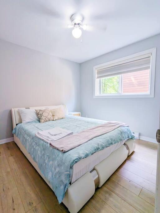 Portsmouth Village Retreat photo 4