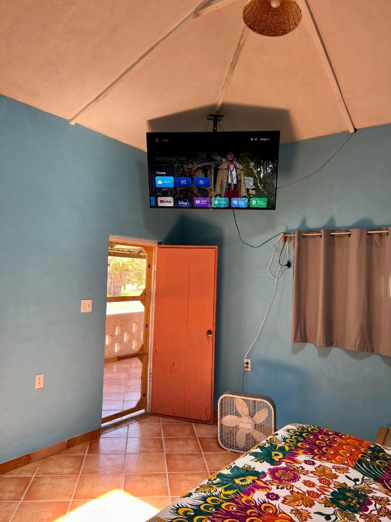 Casa Luna photo 3