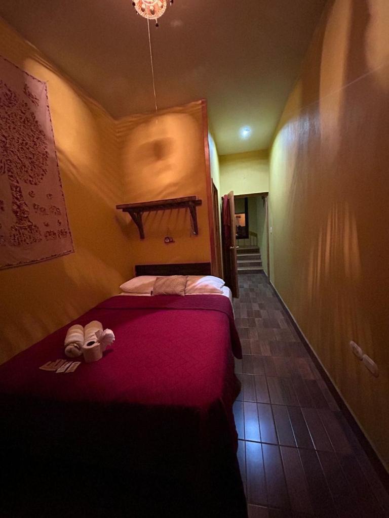 Casa Momo photo 2
