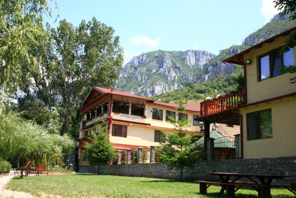 Pension Cuibul Viselor photo 1