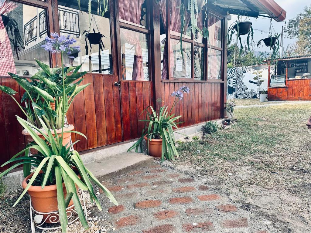 Hotel Terravolcan photo 4
