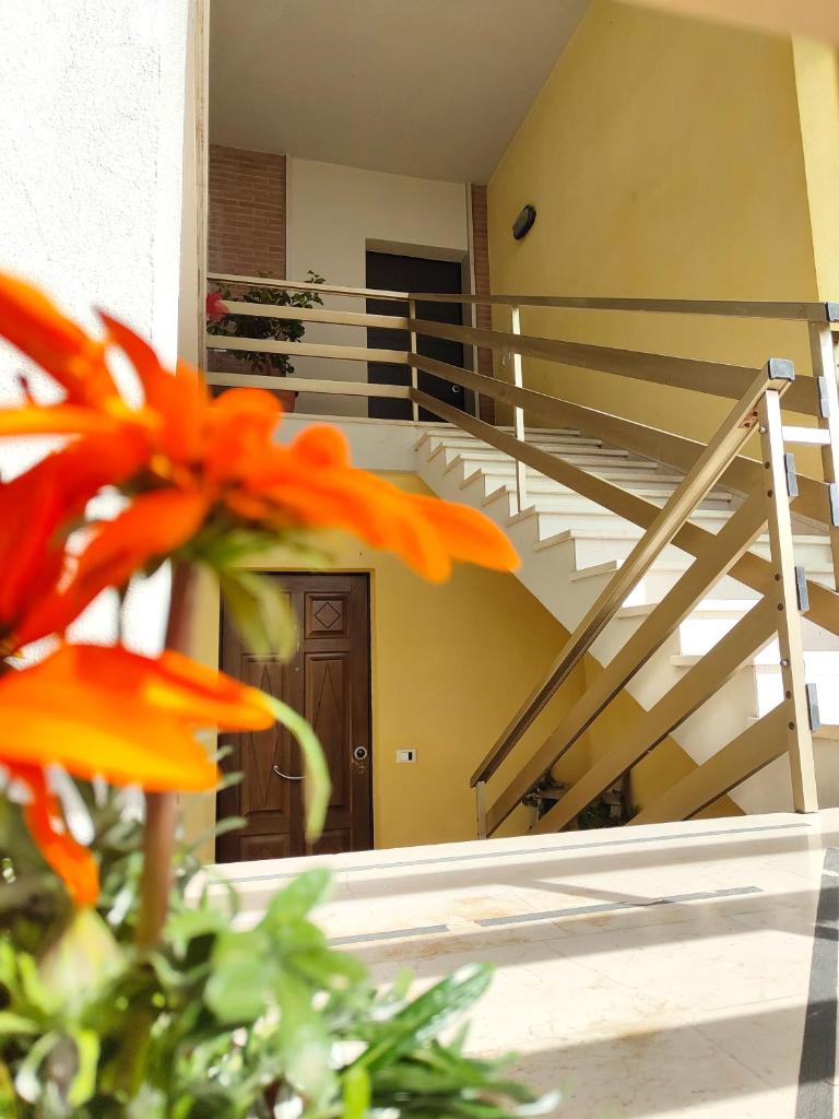 Bastia Home Appartamento photo 1