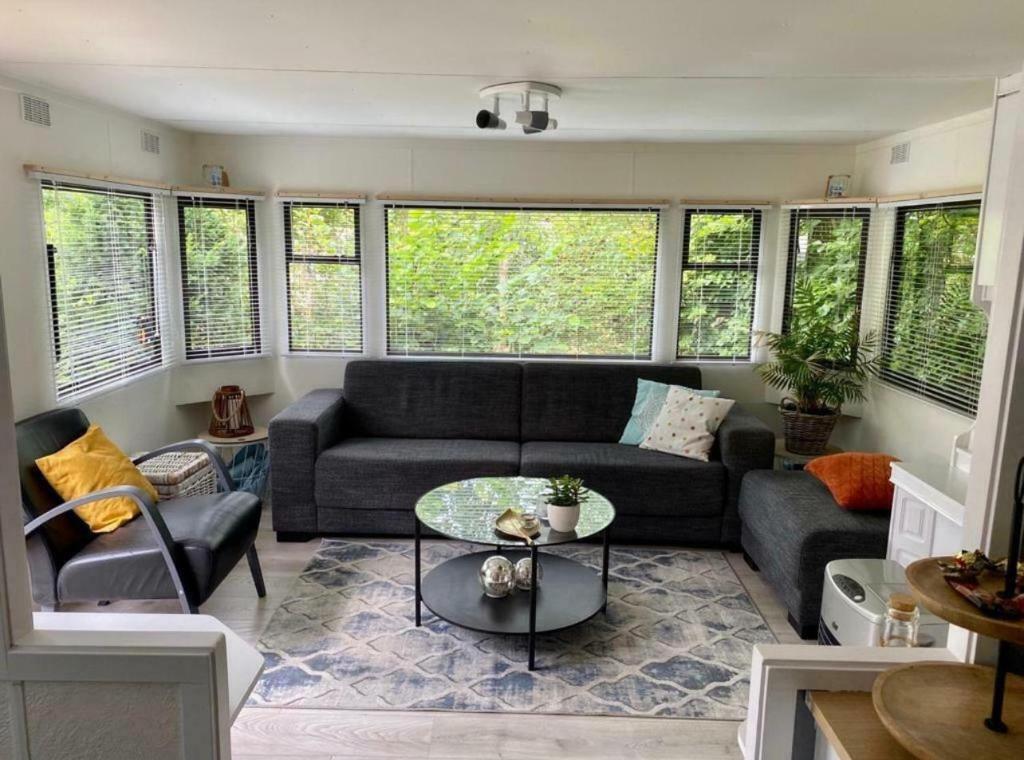 Sunhouse Bodhi photo 1