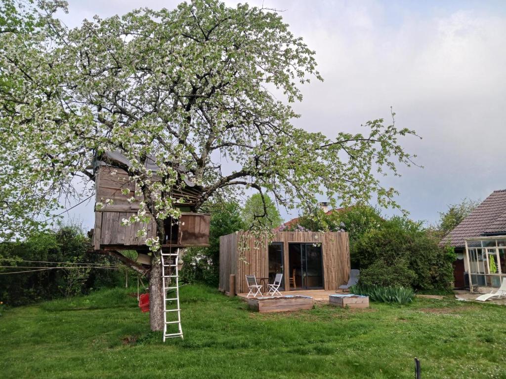 studio de jardin photo 1