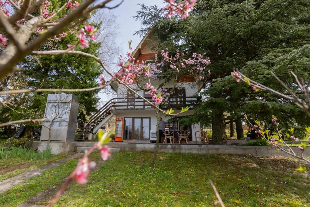 Villa Xenia Kosmaj photo 2