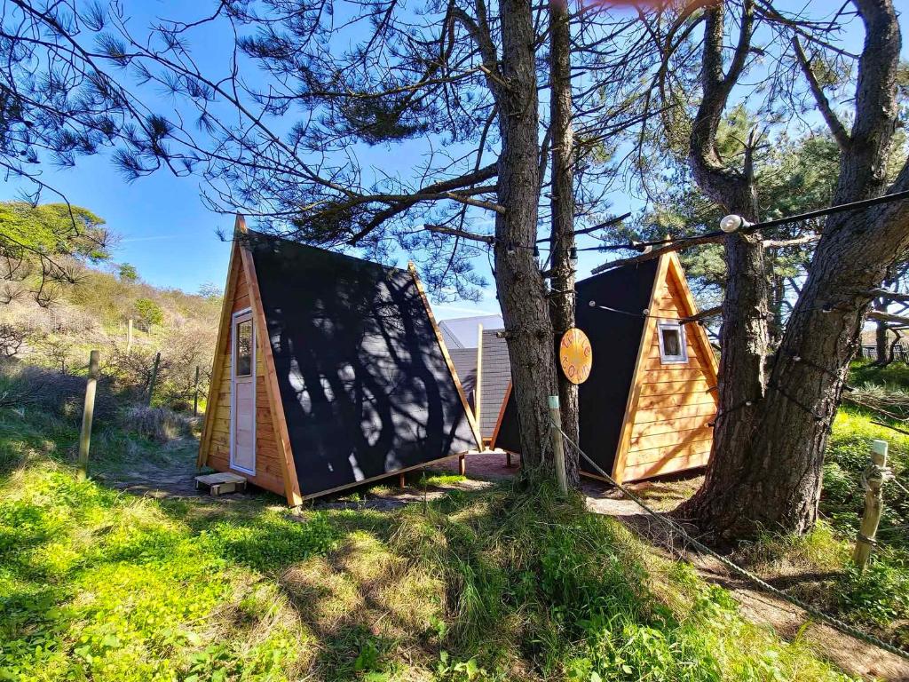 Surfana Beach Bed & Breakfast Bloemendaal photo 1