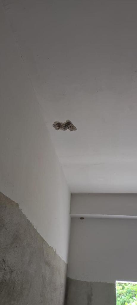 Ravan Holiday Inn photo 3