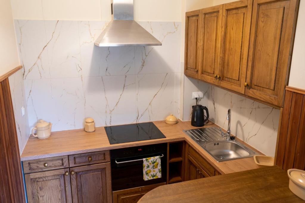 Apartament ALINA photo 3