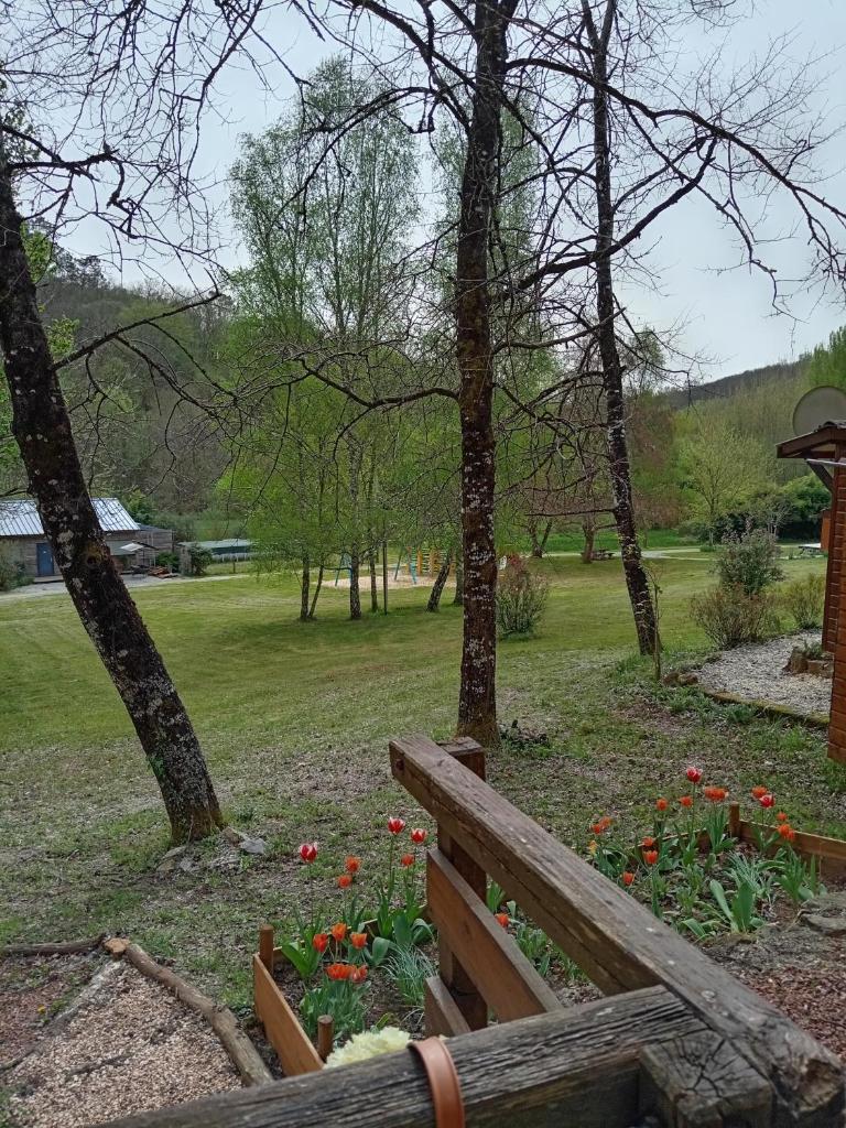 Mon Chalet Familiale photo 2