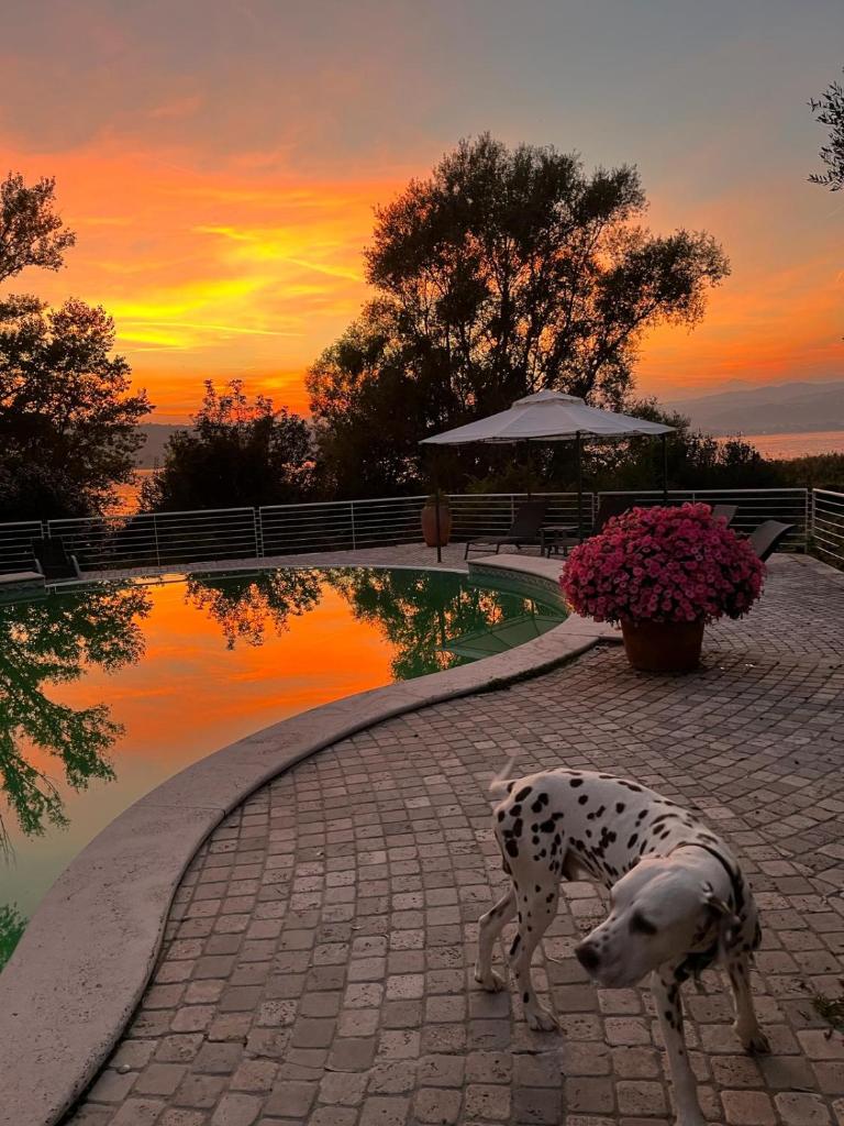 Villa Gloria photo 4