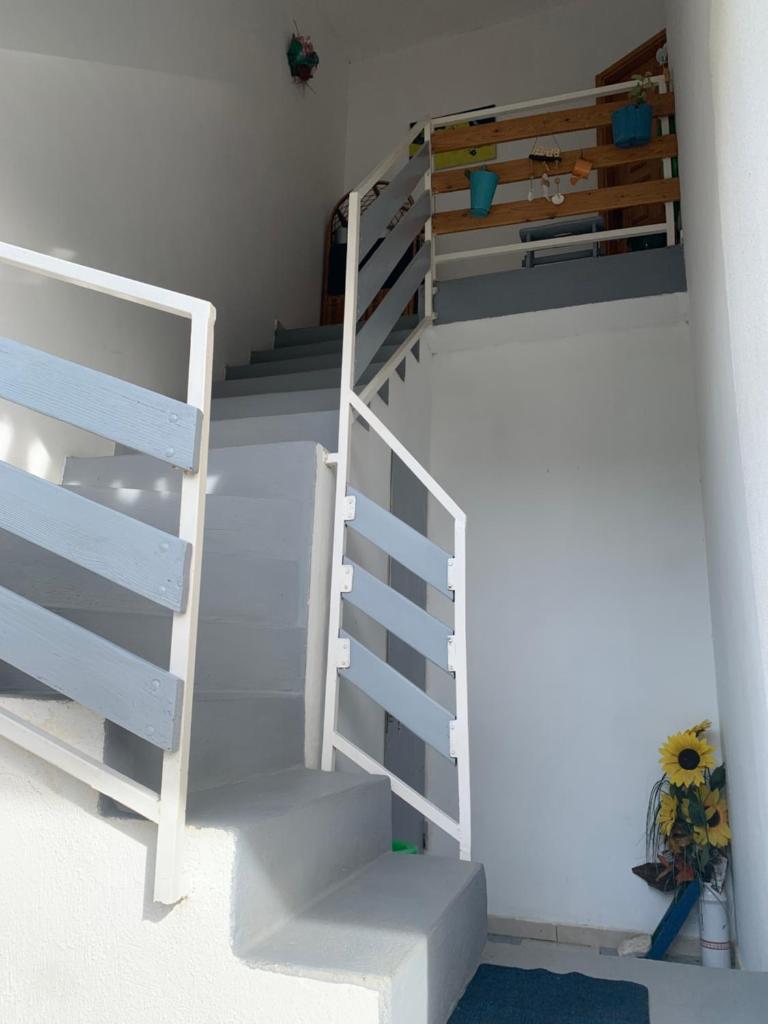 Apartment Domi photo 2