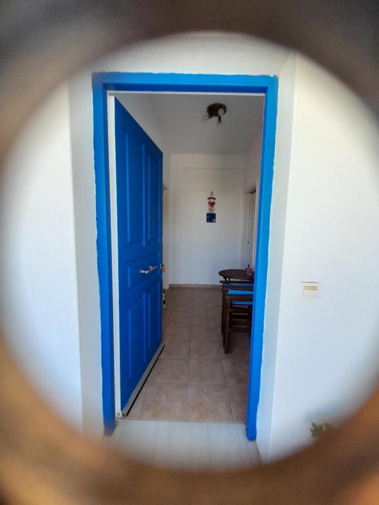 ELZAHED MAESTRO photo 1