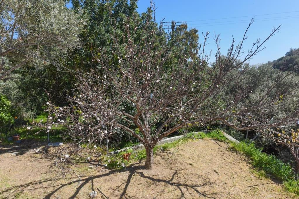 Country house in Limnionas photo 2