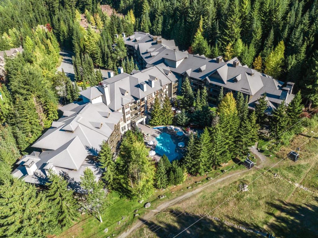 Blackcomb Springs Suites by CLIQUE photo 3
