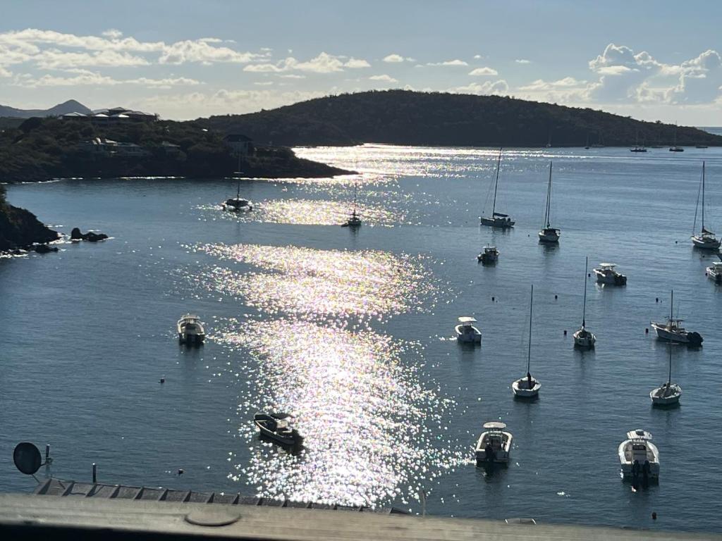 St Thomas -Spectacular Views of St John- Ocean Front! photo 2
