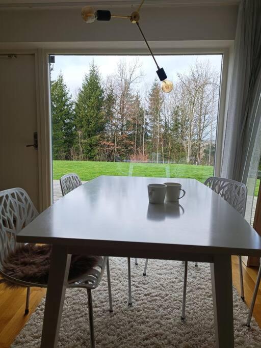 Modern apartment near forest, with kitchen, washer, parking, private entrance - 4 adults, 2 kids & pets friendly! photo 3