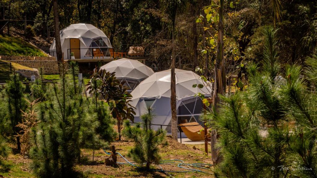 Hotel Glamping & Restaurant Fuerza Ancestral photo 1