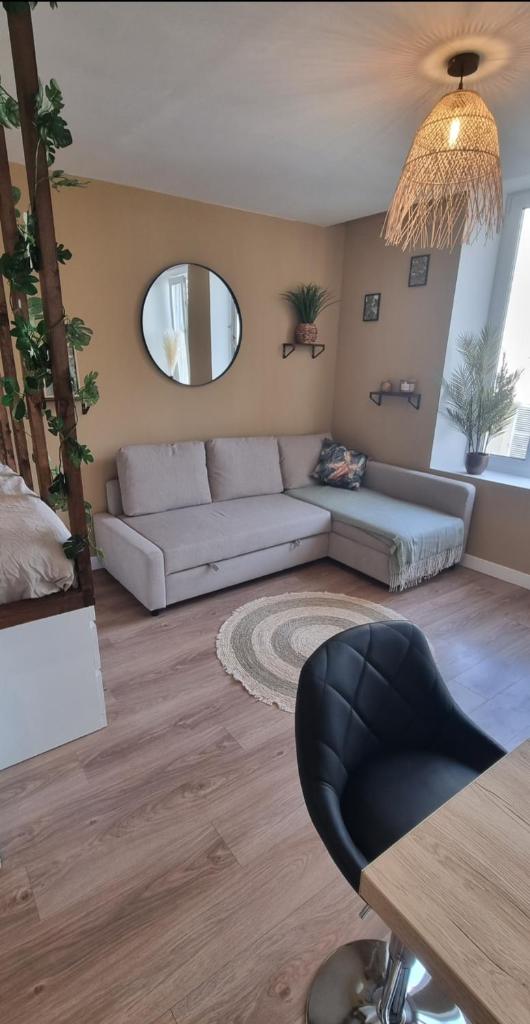 New jungle studio cœur de ville photo 2