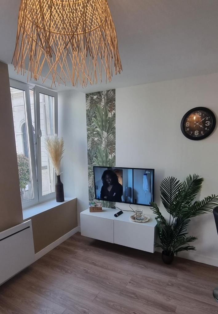New jungle studio cœur de ville photo 3