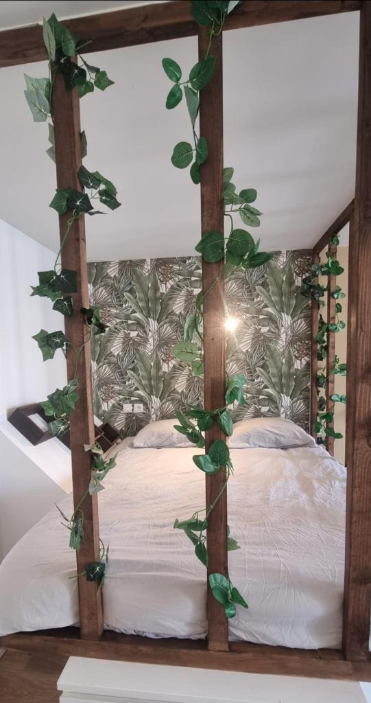 New jungle studio cœur de ville photo 4