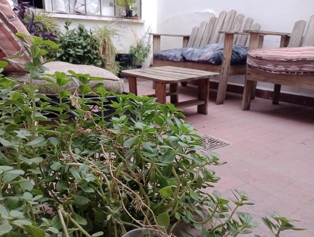 Casa Mica