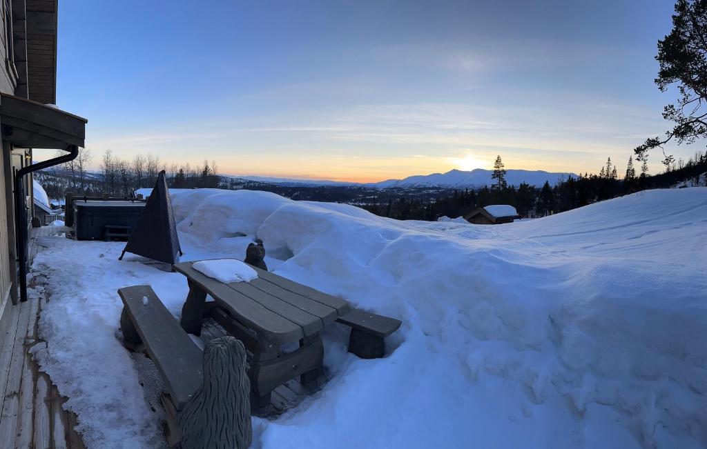 Flott moderne hytte i Holterdalen, 4 soverom, 2 bad, Jacuzzi, garasje photo 3