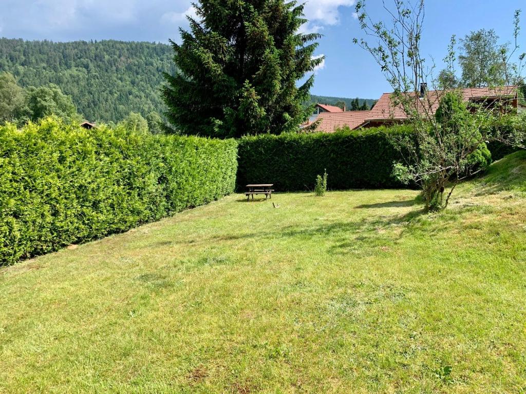 Chalet du Pré - Sauna, terrasse et grand jardin. photo 4