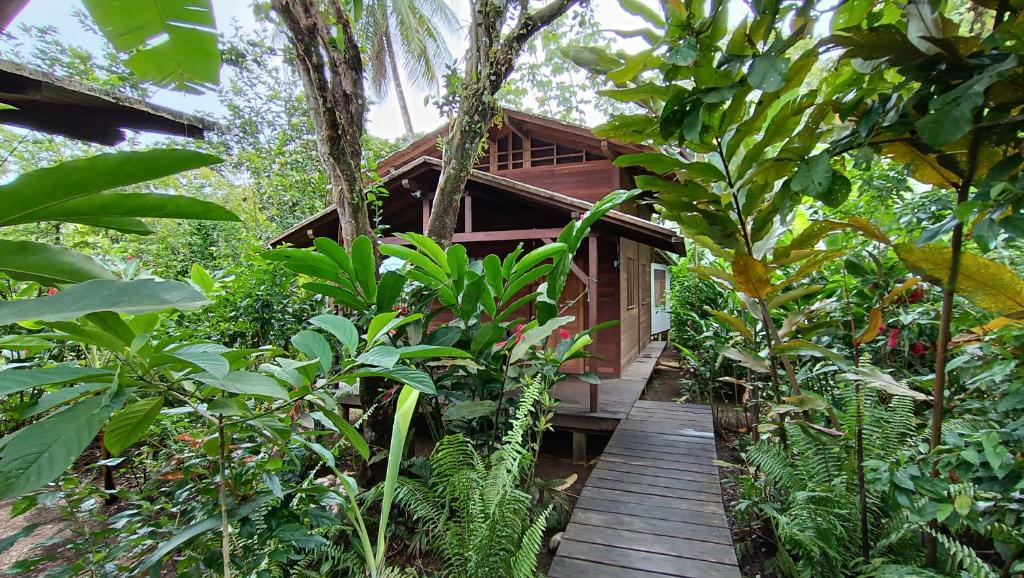 La tarima del colibri Ecolodge photo 2