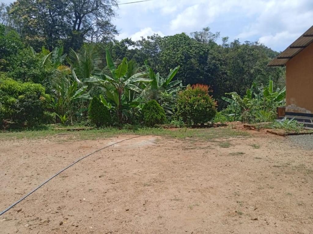RS Holiday Residence photo 1