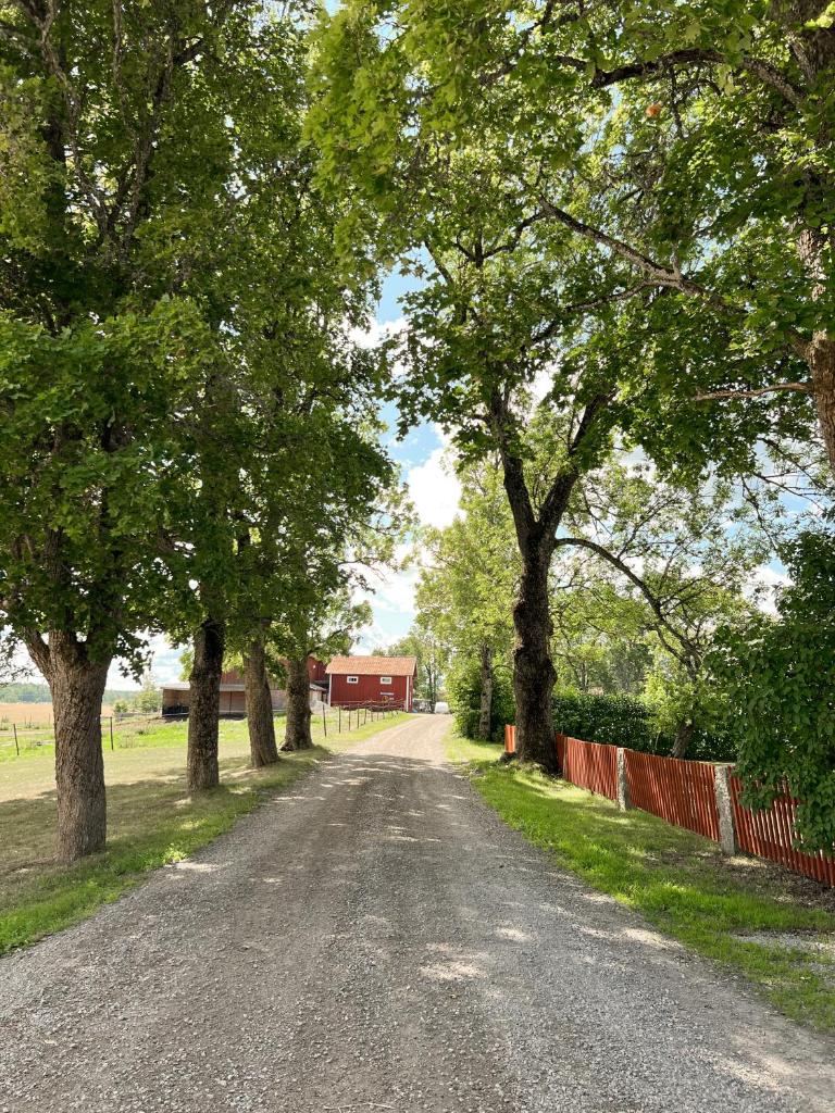 Stort lantligt hus i idyllisk miljö photo 2