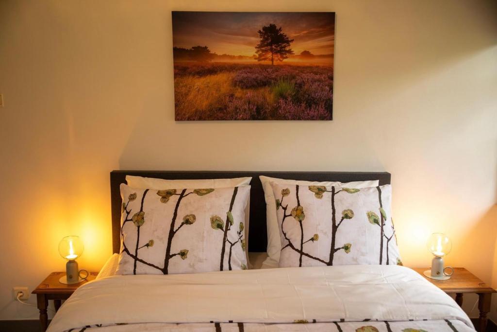Tussen Heide en Bos photo 1