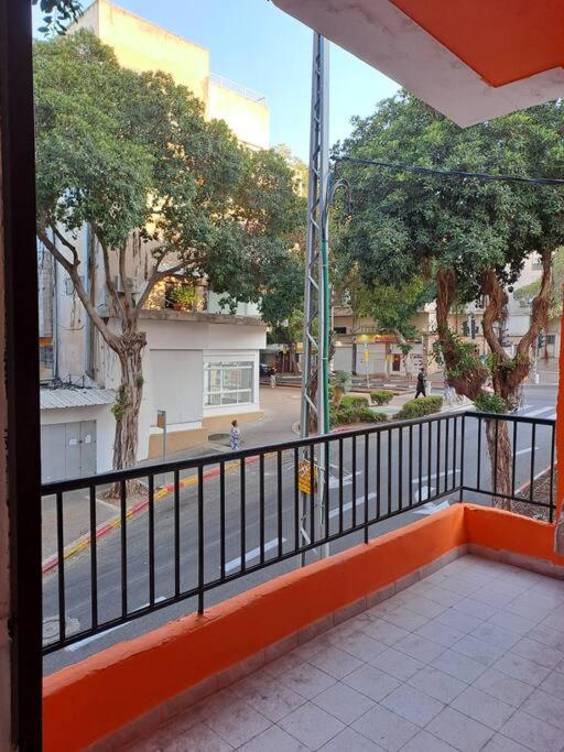 Fellini Fortunella terrace (talpiot) photo 3