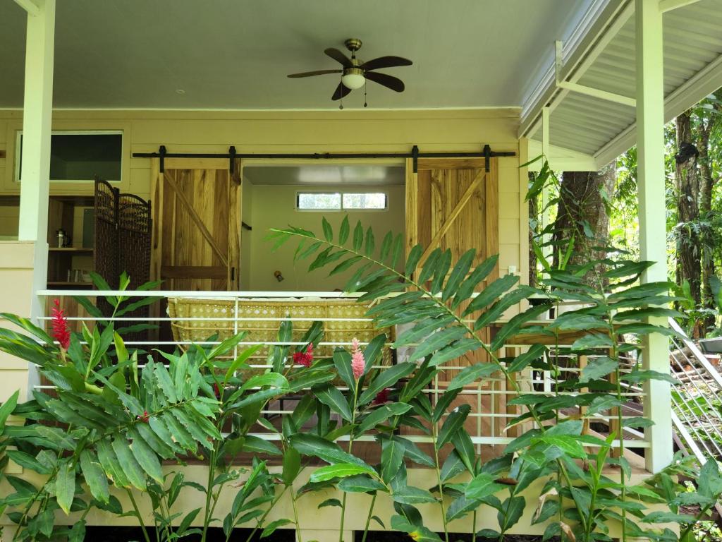 Banofi Hills - dream getaway for nature lovers