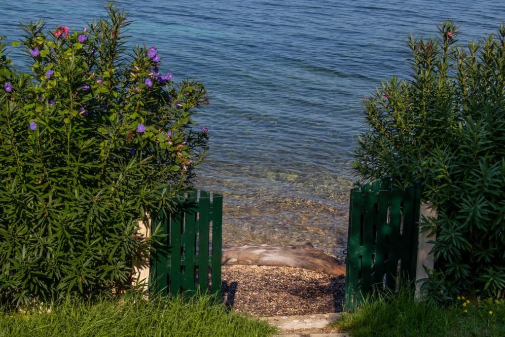 Villa Romantica Seafront photo 1