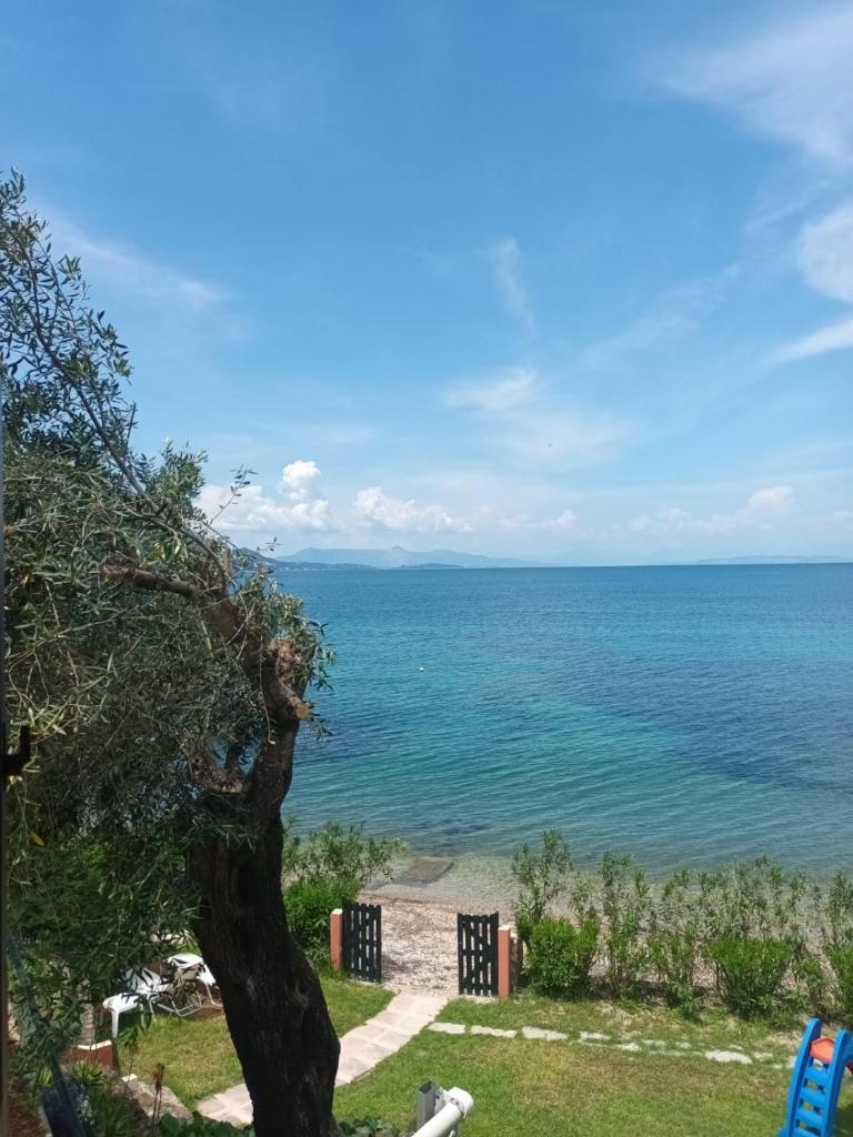 Villa Romantica Seafront