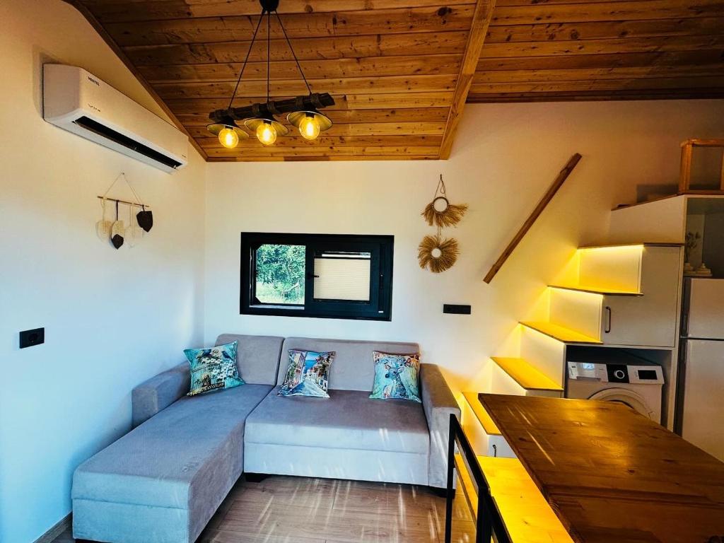 Yucca tiny house