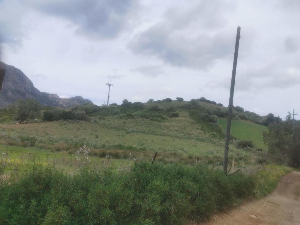 località Zarvenu (Murtas Artas) photo 1