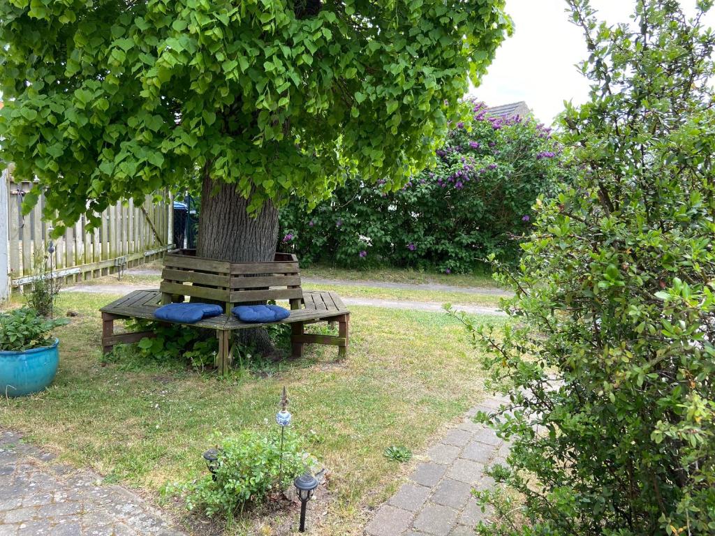 Pausenhof Ferienwohnungen photo 4