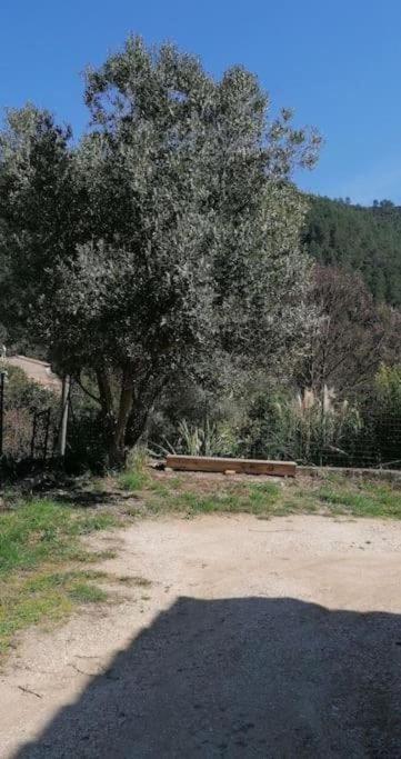 Maison à la campagne