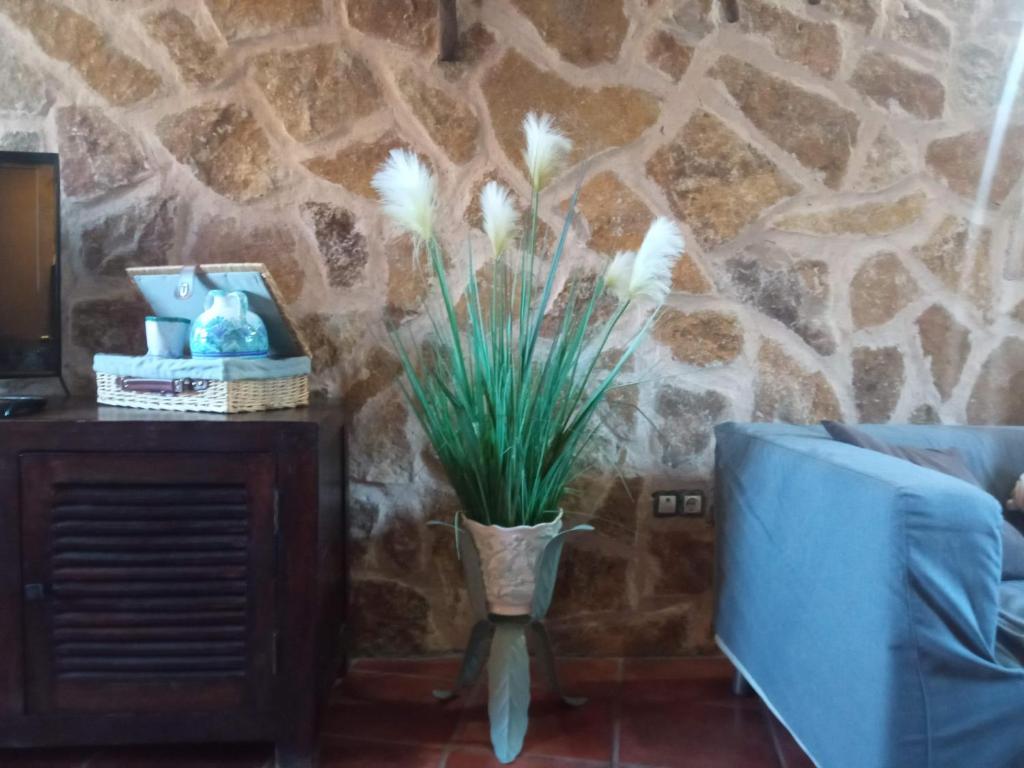 La Hacendera Entre Hoces - 20-28pax-10 hab con baños en suite photo 2