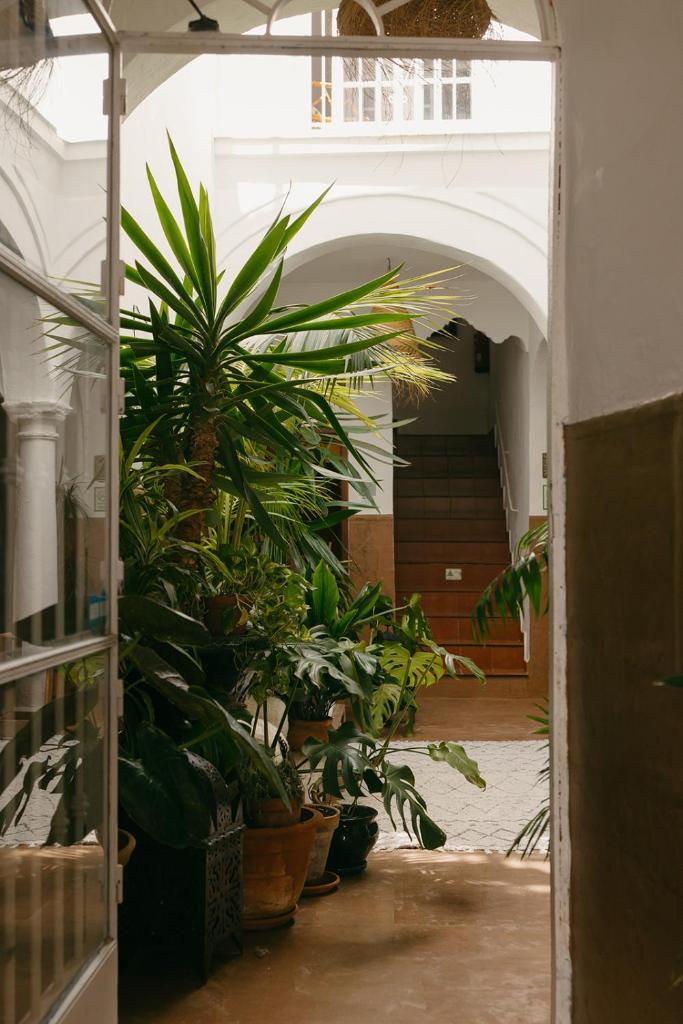Hostal Africa