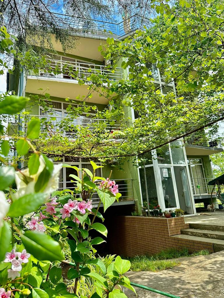 Green Hotel Ureki photo 1