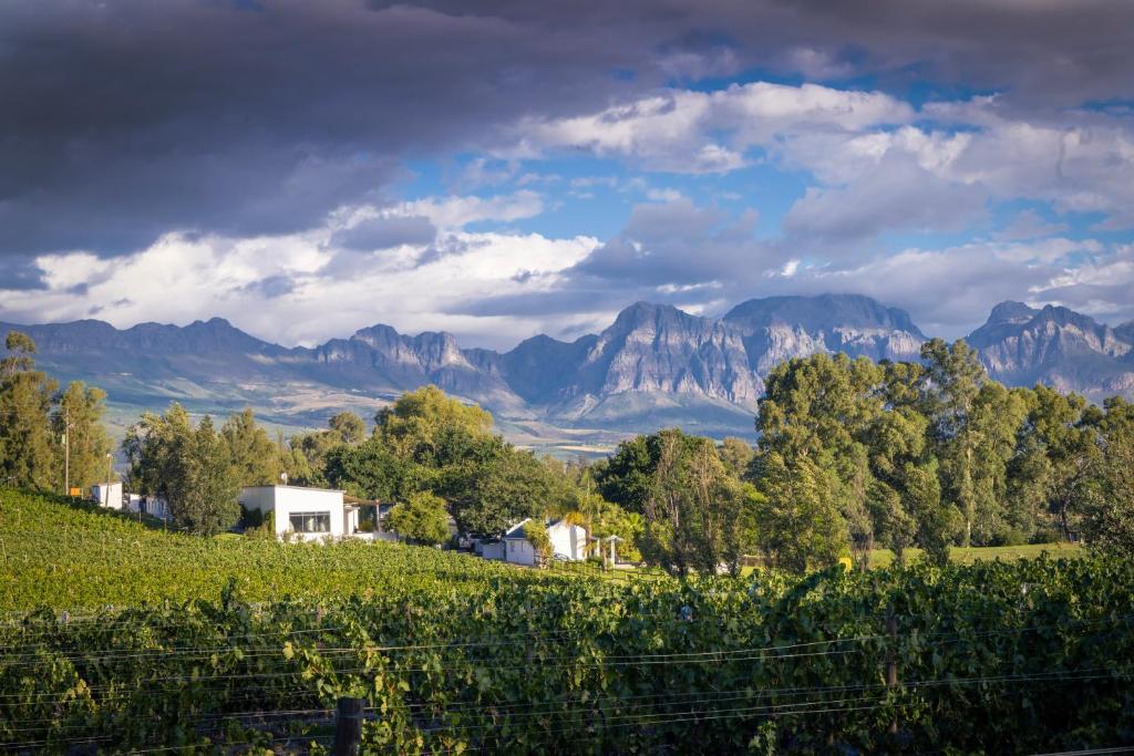Tempel Wines photo 1