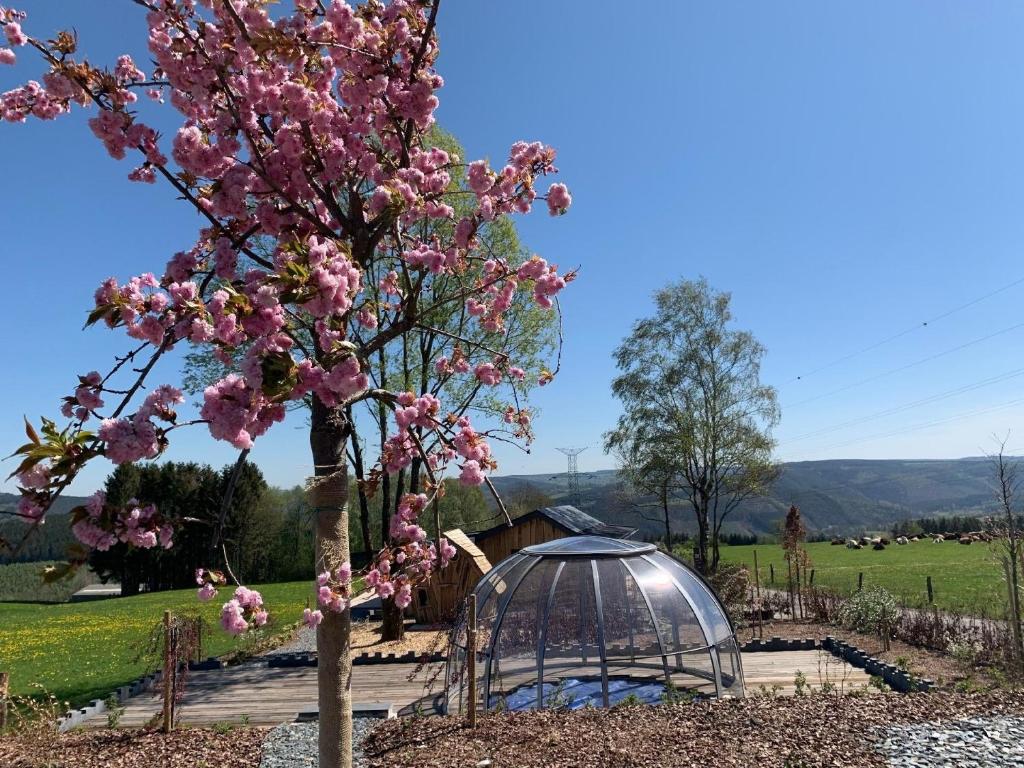 Landhaus mit Hallenbad photo 1