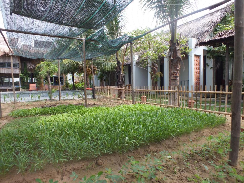 Home Farm Villa Hoi An