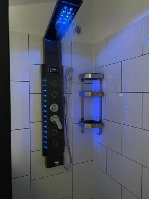 The blue lotus gite and spa photo 4
